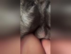 Girl Dog Extreme Sex