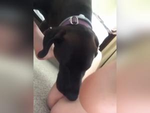 Milly Bestialidad Perro Hardcore