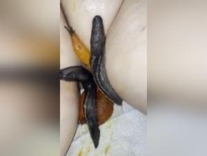 Woman Fuck Dog Extreme