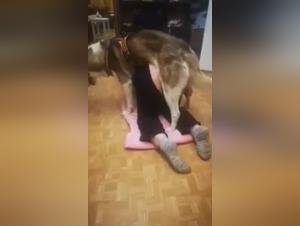 Mujer Se Acuesta con Perro - Vídeos Hot