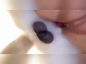 Hundsexuell Begär - Intensiv