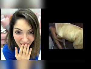 Reactions 83/144 - Chien Baient Meufs