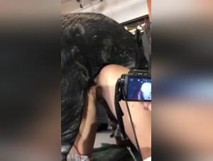 Svindel med Hund: Ekstrem Sexuell