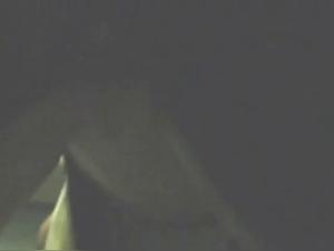 Animal Action 6: Milly Dog Bang Extreme