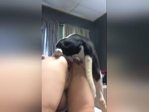 puta blanca esposa viola perro familiar
