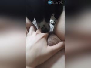 창녀는 그녀의 개를 빨아 들여 열이 나다