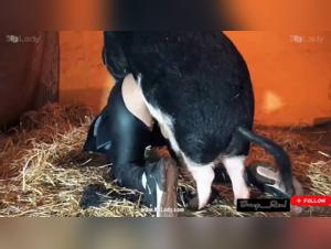 Selena - Vaca Futa a la Chica