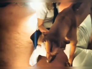 Anitaknine - Hundsex