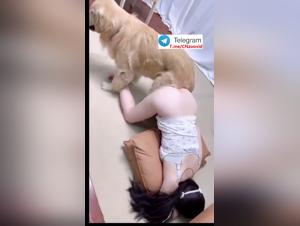 Asian Girl Dog Fuck 1