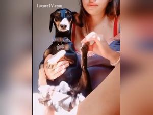 hundekneipe wilder sexakt