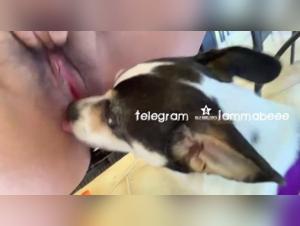 Lonely Mom Deep Dog Licking #1