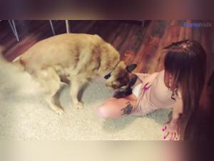 Meuf Baise Chien - TAKE IT OFF (PMV)