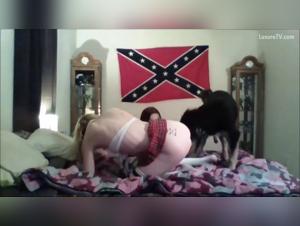 Icedone Star Dog Sex