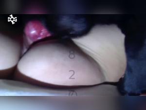 Puttana Scioglie con il Cane - Video XXX