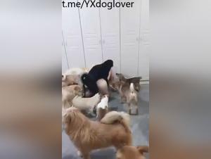 Asian Dog Sex