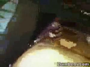 Knotty Boxer -  She Doggs it Extreme