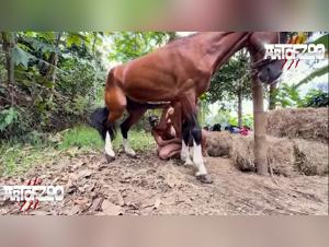 ArtOfZoo: Milly Dog Sex Extreme Trailer