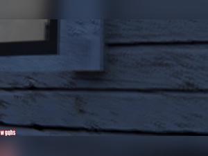 She Dog Sex, Extreme Animal Fuck