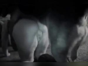 Dog Fucks Women: Extreme Zoophilia Videos