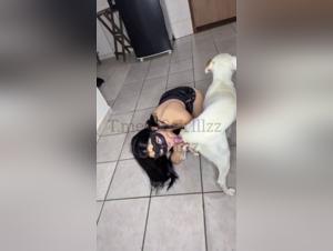 Sexploitation Chien Méuf Hardcore