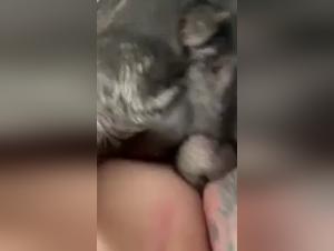 Salsiccia lecchita dal cane: video hardcore