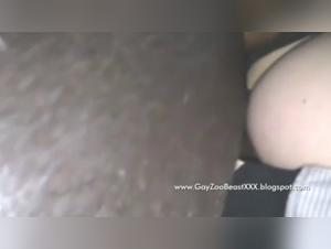 Mujer Folld Por Caballo Pt. 1 - Videos XXX Extremas