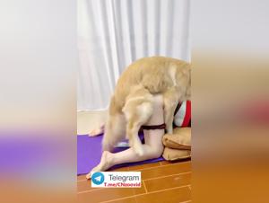 Chine : Femme baise chien collection vidéo 1