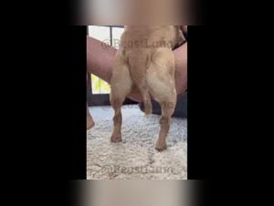 BeastLuna Trailer: Dog brutally fucks a slut