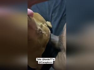 Dog Fuck - Milly Part 1 Extreme