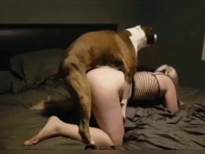 hundsex galaktiskt, förbudad lust