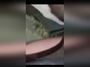 prise sauvage cheval, profonde jouissance équine