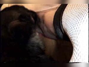 Cane lecca donna sfrenata