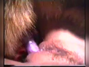 Zoo Buddies 2: Hardcore Dog Sex