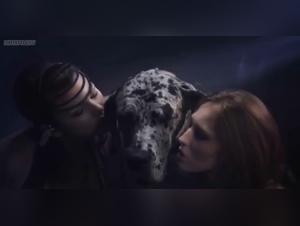 Chica Baila con Perro - XXX Abulia Animal Irresistible