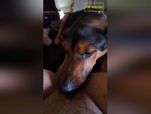 Perra Chupa Perro Parte 1