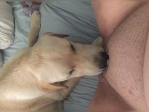 dog XXX :  baise animale sauvage