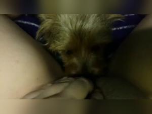 Teeny Pony Fucks Dog Part 5