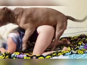Woman fucks dog - Extreme Reactions Part 1