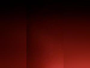  Chien baise une meuf sauvage