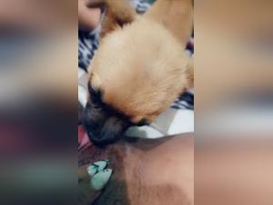 Perra Sucio Perro Parte 2