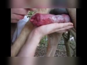 Chica Española - Perro Sexo 05