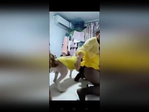 Dog Wild Fuck Girl