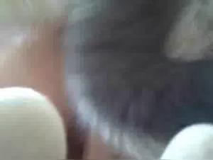 Miss Lobo Baise Chien