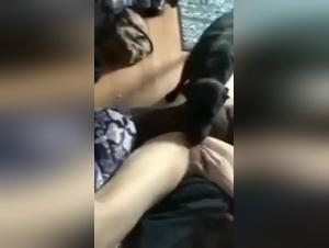zoo taboo: sesso animale selvaggio ed estremo