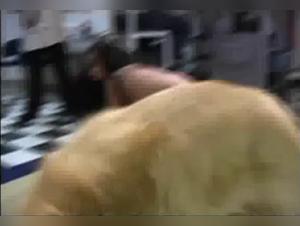 Salope et son Chien: Délices Dégoûtantes