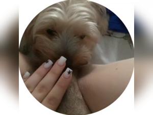 Dog Mona Baise Chien Intense