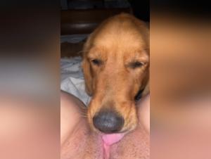 Girl Dog Licking Xxx Intense