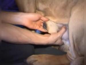 Two Girls Horse Sex: Unbridled Lust