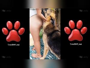 Analina -  Salope baisée par chien