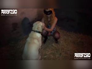 Bodil Joensen: Baise Chien VidéoRare